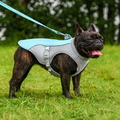 Kylväst för hund