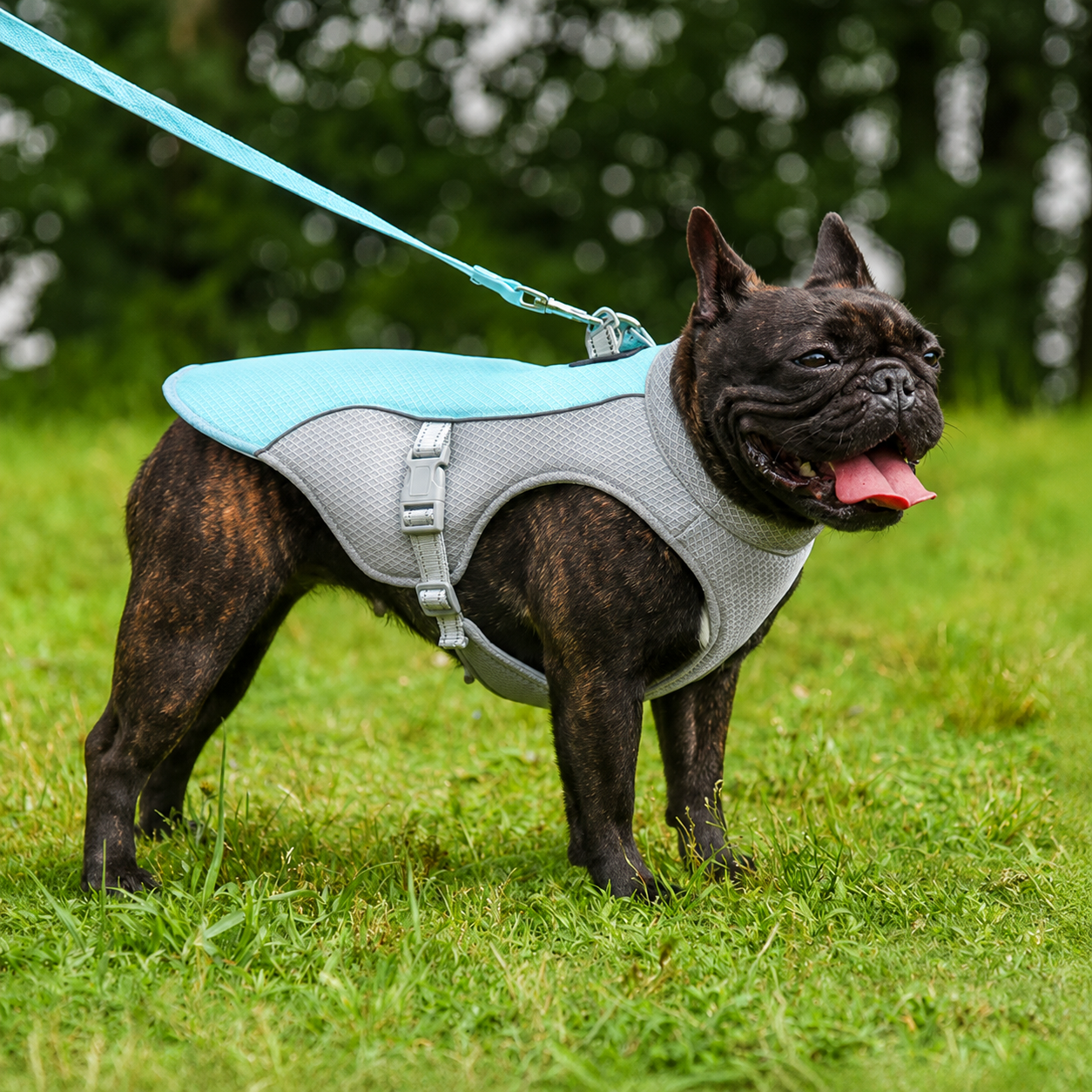 Kylväst för hund