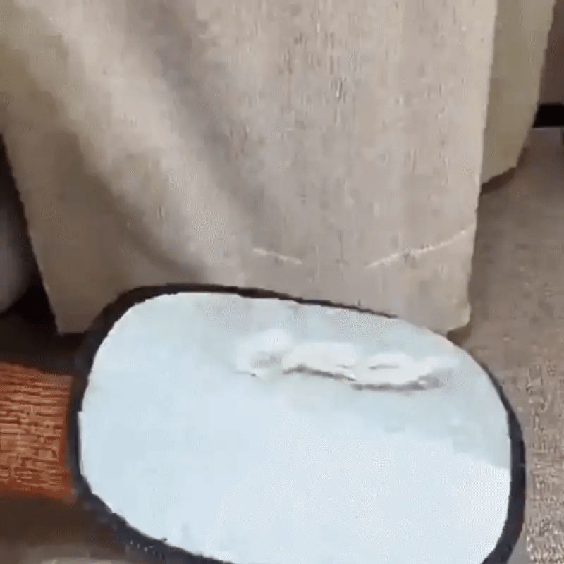 Magic Brush – Pälshandske för Katt & Hund