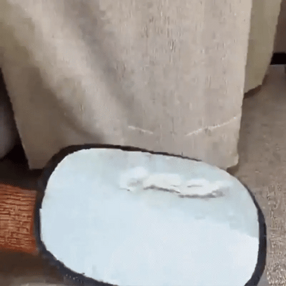 Magic Brush – Pälshandske för Katt & Hund