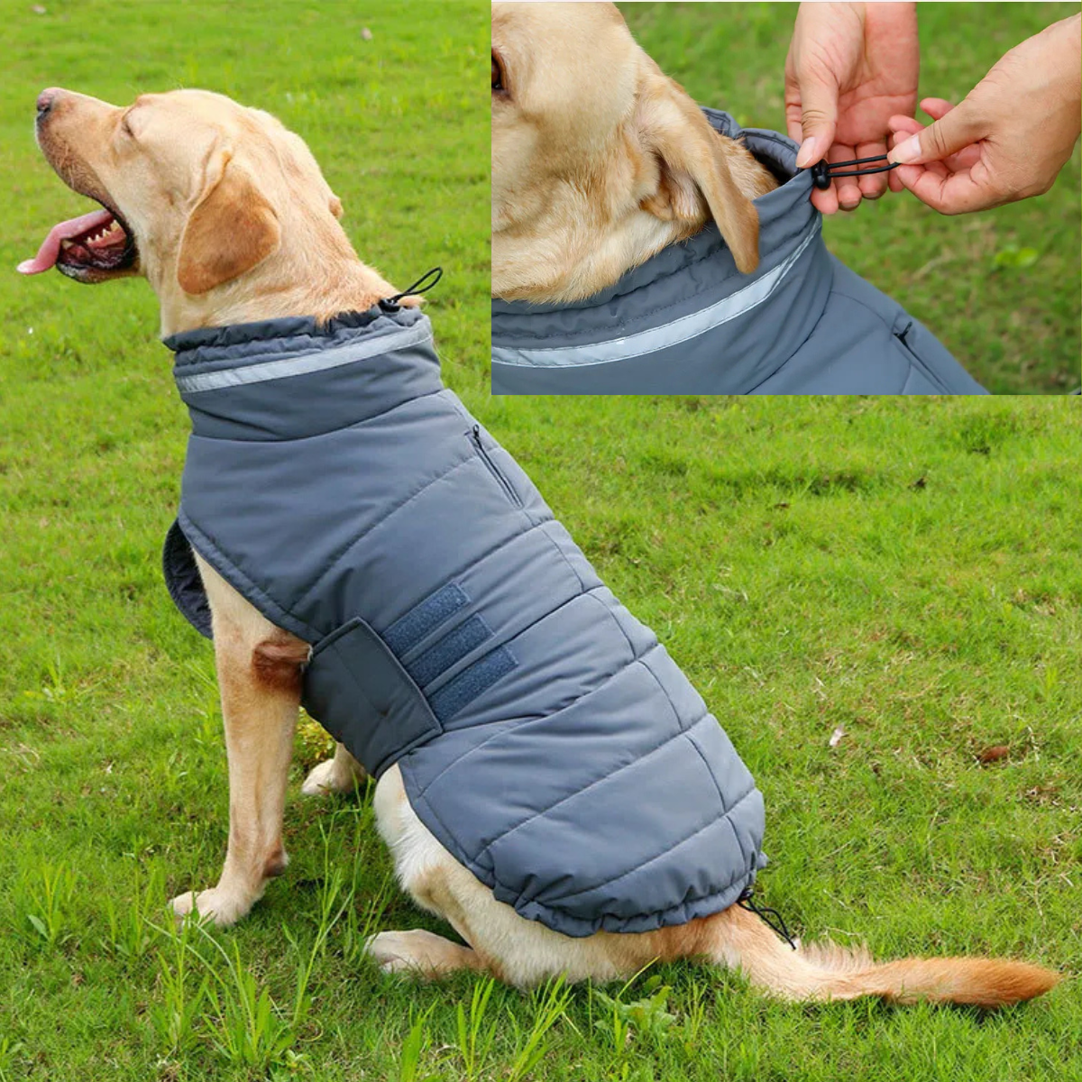 Vattentätt Vintertäcke för Hund
