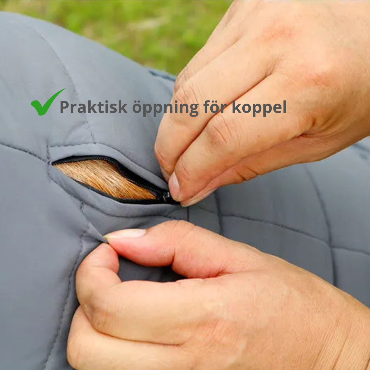 Vattentätt Vintertäcke för Hund