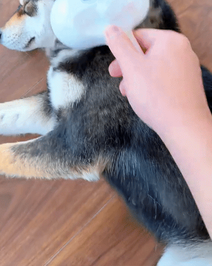 FurMist 3-i-1 Grooming Borste