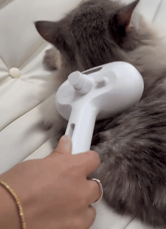 FurMist 3-i-1 Grooming Borste